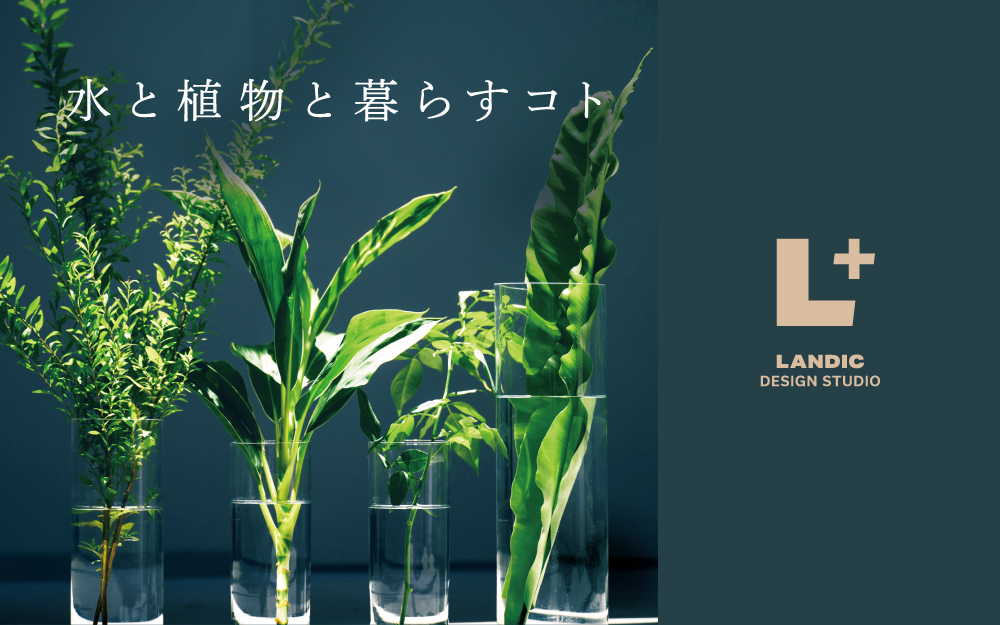 L にて夏期限定イベント 水と植物と暮らすコト 展を開催 L エルプラス Produced By Landic