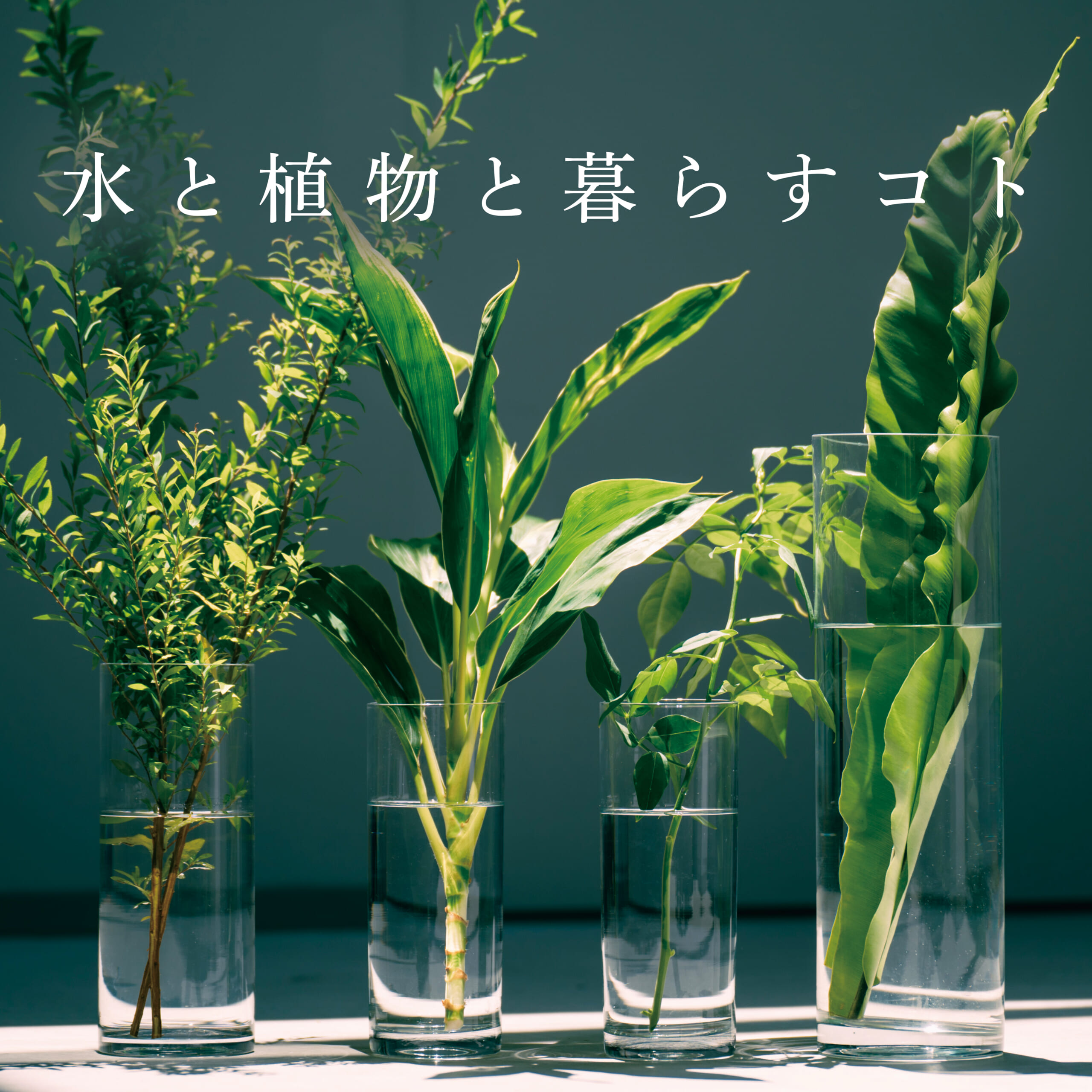 期間限定イベント 水と植物と暮らすコト を開催いたします L エルプラス Produced By Landic
